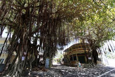 436 Mauritius island - Ile Maurice 2014 - IMG_4856_DxO Pbase.jpg