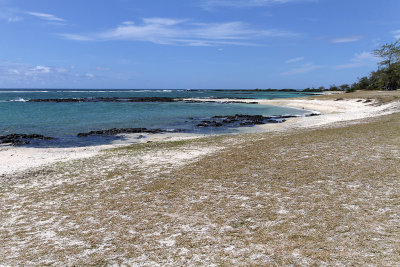 452 Mauritius island - Ile Maurice 2014 - IMG_4873_DxO Pbase.jpg