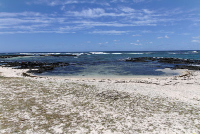 453 Mauritius island - Ile Maurice 2014 - IMG_4874_DxO Pbase.jpg