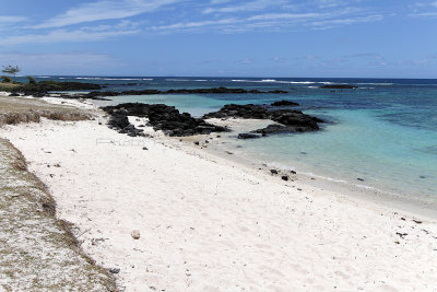 457 Mauritius island - Ile Maurice 2014 - IMG_4878_DxO Pbase.jpg