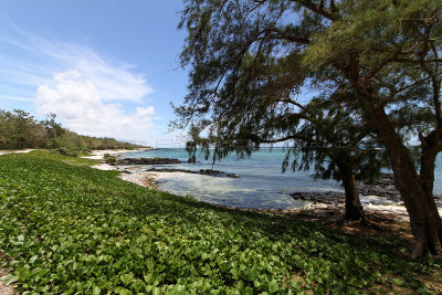 460 Mauritius island - Ile Maurice 2014 - IMG_4881_DxO Pbase.jpg