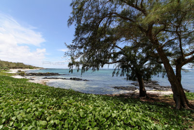 462 Mauritius island - Ile Maurice 2014 - IMG_4883_DxO Pbase.jpg