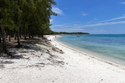 463 Mauritius island - Ile Maurice 2014 - IMG_4884_DxO Pbase.jpg