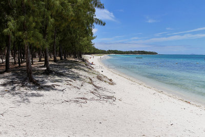 464 Mauritius island - Ile Maurice 2014 - IMG_4885_DxO Pbase.jpg
