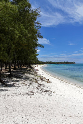 466 Mauritius island - Ile Maurice 2014 - IMG_4887_DxO Pbase.jpg