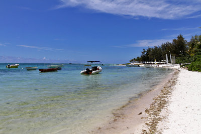 468 Mauritius island - Ile Maurice 2014 - IMG_4889_DxO Pbase.jpg
