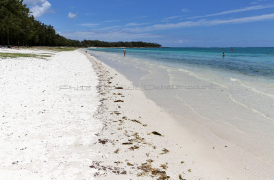 476 Mauritius island - Ile Maurice 2014 - IMG_4897_DxO Pbase.jpg
