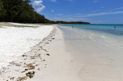 477 Mauritius island - Ile Maurice 2014 - IMG_4898_DxO Pbase.jpg