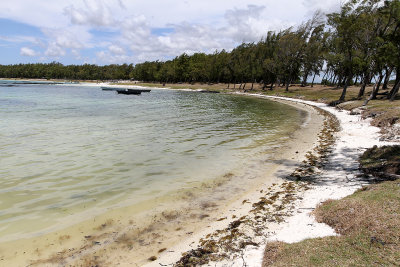 479 Mauritius island - Ile Maurice 2014 - IMG_4900_DxO Pbase.jpg
