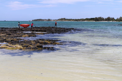 481 Mauritius island - Ile Maurice 2014 - IMG_4902_DxO Pbase.jpg
