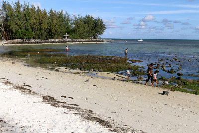 526 Mauritius island - Ile Maurice 2014 - IMG_4948_DxO Pbase.jpg