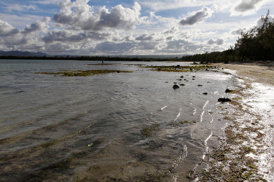 530 Mauritius island - Ile Maurice 2014 - IMG_4952_DxO Pbase.jpg