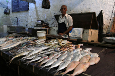 636 Mauritius island - Ile Maurice 2014 - IMG_5059_DxO Pbase.jpg