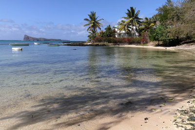 743 Mauritius island - Ile Maurice 2014 - IMG_5174_DxO Pbase.jpg