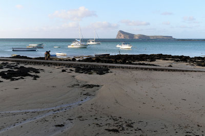 788 Mauritius island - Ile Maurice 2014 - IMG_5223_DxO Pbase.jpg