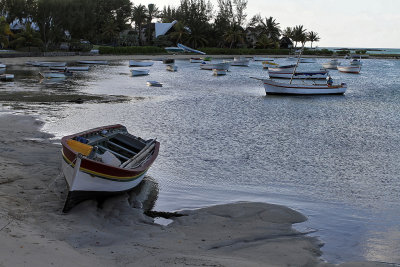 794 Mauritius island - Ile Maurice 2014 - IMG_5229_DxO Pbase.jpg