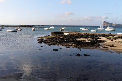 797 Mauritius island - Ile Maurice 2014 - IMG_5232_DxO Pbase.jpg