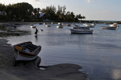 798 Mauritius island - Ile Maurice 2014 - IMG_5233_DxO Pbase.jpg