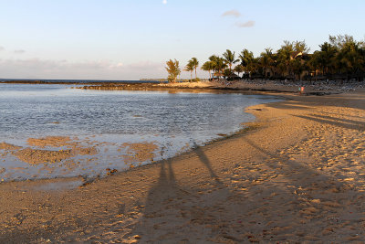 810 Mauritius island - Ile Maurice 2014 - IMG_5245_DxO Pbase.jpg