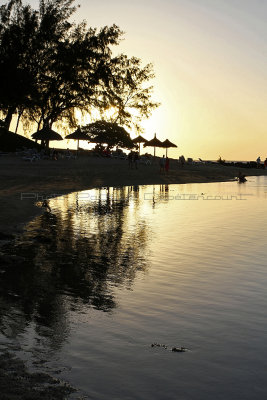 820 Mauritius island - Ile Maurice 2014 - IMG_5255_DxO Pbase.jpg