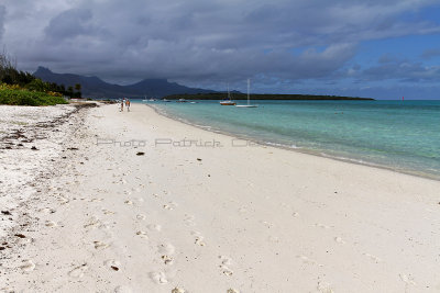 962 Mauritius island - Ile Maurice 2014 - IMG_5397_DxO Pbase.jpg
