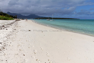 964 Mauritius island - Ile Maurice 2014 - IMG_5399_DxO Pbase.jpg