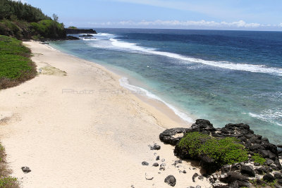 1140 Mauritius island - Ile Maurice 2014 - IMG_5577_DxO Pbase.jpg