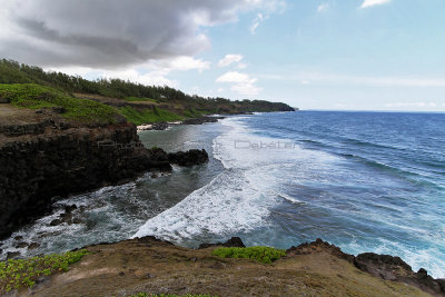 1148 Mauritius island - Ile Maurice 2014 - IMG_5585_DxO Pbase.jpg