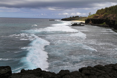 1159 Mauritius island - Ile Maurice 2014 - IMG_5596_DxO Pbase.jpg