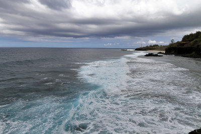 1171 Mauritius island - Ile Maurice 2014 - IMG_5608_DxO Pbase.jpg