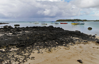 1291 Mauritius island - Ile Maurice 2014 - IMG_5734_DxO Pbase.jpg