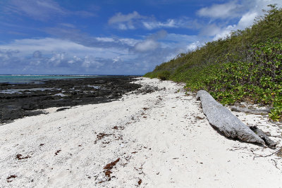 1304 Mauritius island - Ile Maurice 2014 - IMG_5747_DxO Pbase.jpg