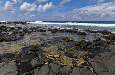 1320 Mauritius island - Ile Maurice 2014 - IMG_5763_DxO Pbase.jpg