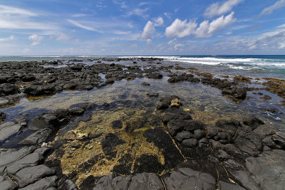 1321 Mauritius island - Ile Maurice 2014 - IMG_5764_DxO Pbase.jpg