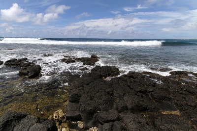 1328 Mauritius island - Ile Maurice 2014 - IMG_5771_DxO Pbase.jpg