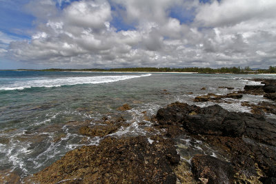 1329 Mauritius island - Ile Maurice 2014 - IMG_5772_DxO Pbase.jpg