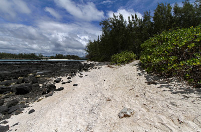 1335 Mauritius island - Ile Maurice 2014 - IMG_5778_DxO Pbase.jpg