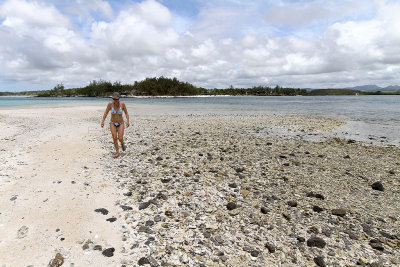 1349 Mauritius island - Ile Maurice 2014 - IMG_5792_DxO Pbase.jpg