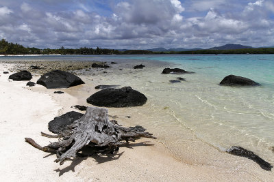 1352 Mauritius island - Ile Maurice 2014 - IMG_5795_DxO Pbase.jpg