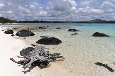 1354 Mauritius island - Ile Maurice 2014 - IMG_5797_DxO Pbase.jpg