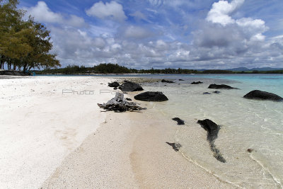 1355 Mauritius island - Ile Maurice 2014 - IMG_5798_DxO Pbase.jpg