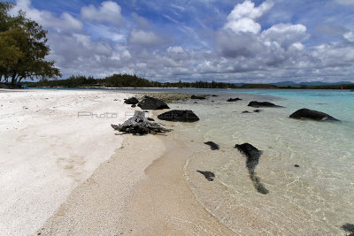 1357 Mauritius island - Ile Maurice 2014 - IMG_5801_DxO Pbase.jpg