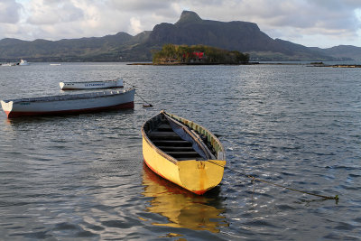 1580 Mauritius island - Ile Maurice 2014 - IMG_6024_DxO Pbase.jpg