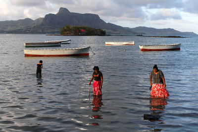 1583 Mauritius island - Ile Maurice 2014 - IMG_6027_DxO Pbase.jpg