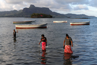 1584 Mauritius island - Ile Maurice 2014 - IMG_6028_DxO Pbase.jpg