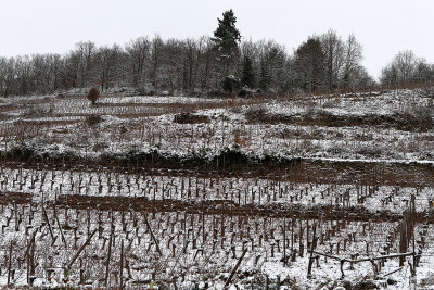 236 Saint Sylvestre 2015 en Alsace - IMG_6681_DxO Pbase.jpg