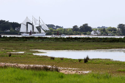 234 Semaine du Golfe 2015 - IMG_2222_DxO Pbase.jpg