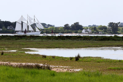 235 Semaine du Golfe 2015 - IMG_2223_DxO Pbase.jpg