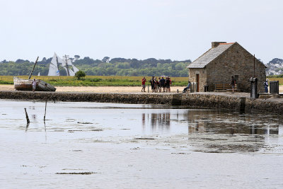 254 Semaine du Golfe 2015 - IMG_2238_DxO Pbase.jpg