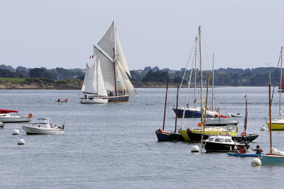 299 Semaine du Golfe 2015 - IMG_2254_DxO Pbase.jpg